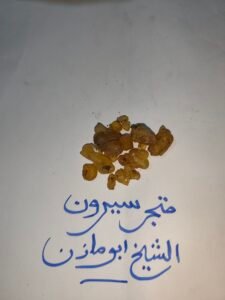 كندر هندي أصلي فاخر|Indian Frankincense